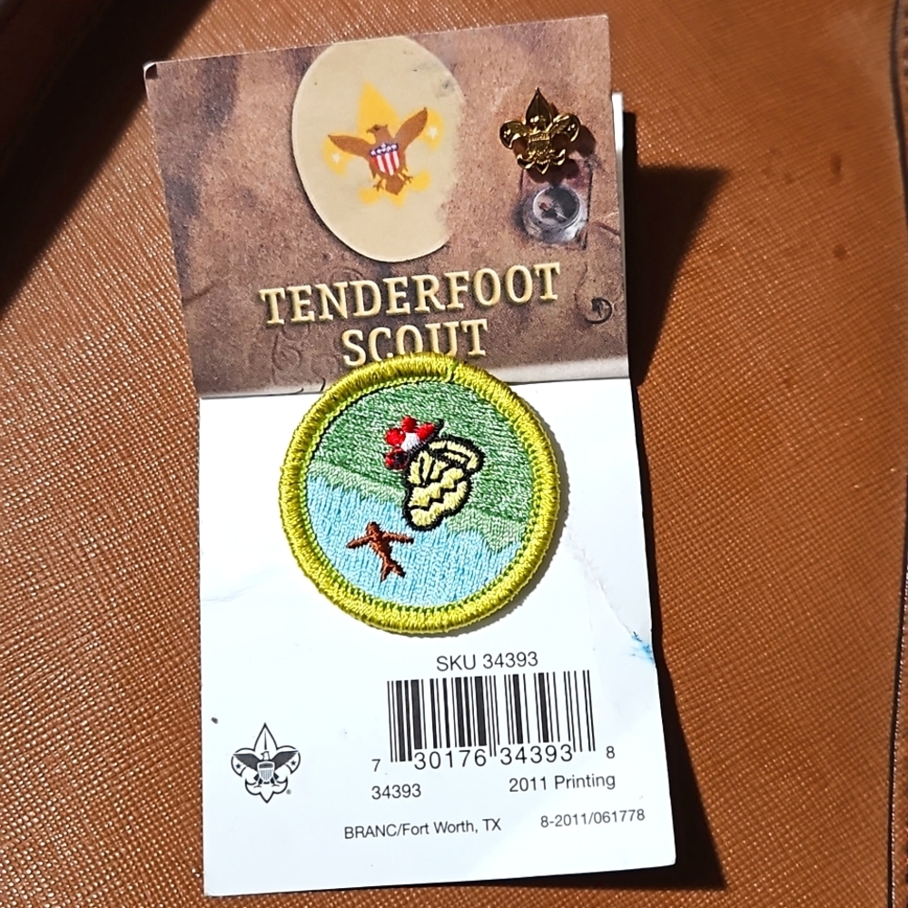 Boys Scout Tenderfoot Scout Pin & Nature Badge